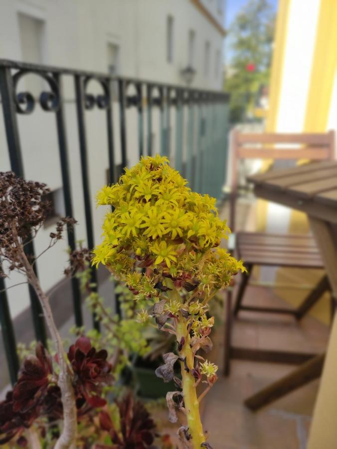 Vive Triana Apartment Севиля Екстериор снимка